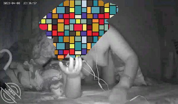 0aaa8dd1366810e8d1eade1102ae5d02.jpg