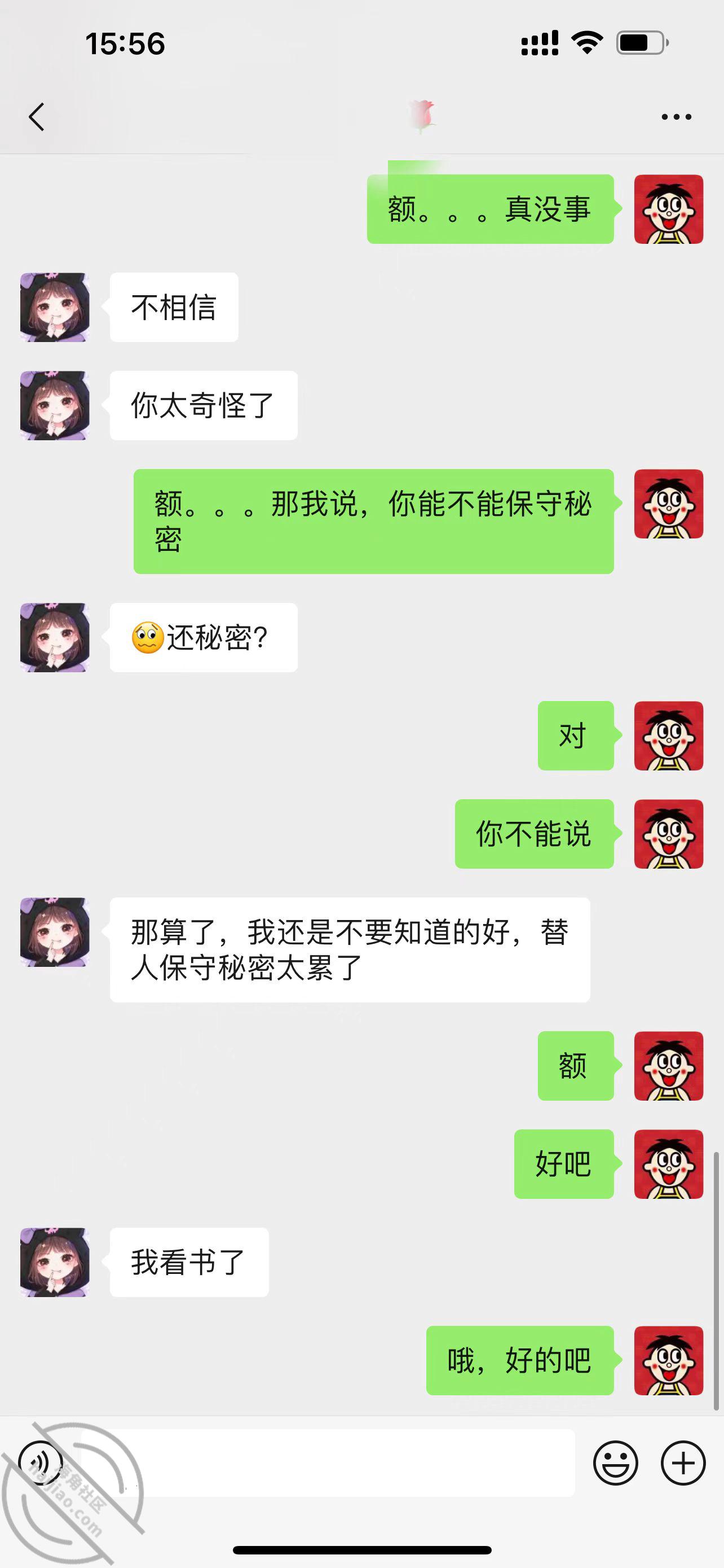 ddde866a37b9d8669fe2a003feba4da2.jpg