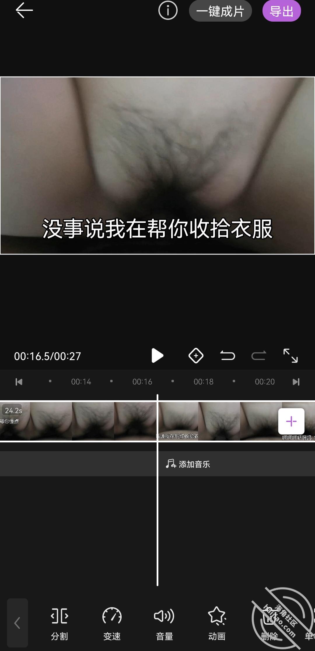 dd1013165befe2323e9366670996e71b.jpg