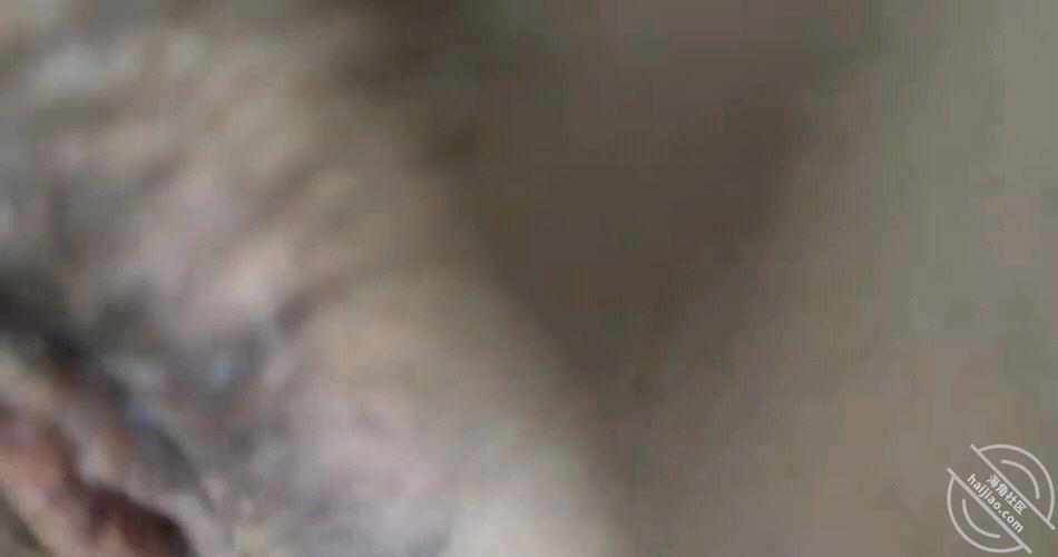 c608ce1b906679f8426478401f6536f9.jpg