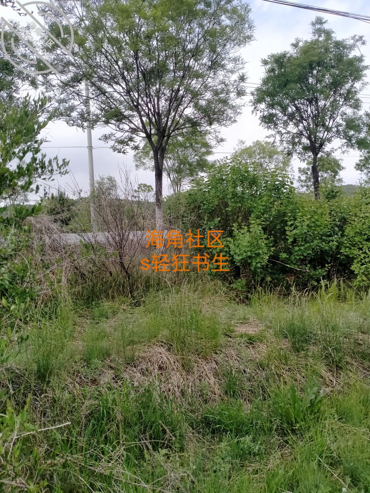 2b2bf6c9bc8b8b8ea6fe3e6af5242aa1.jpg