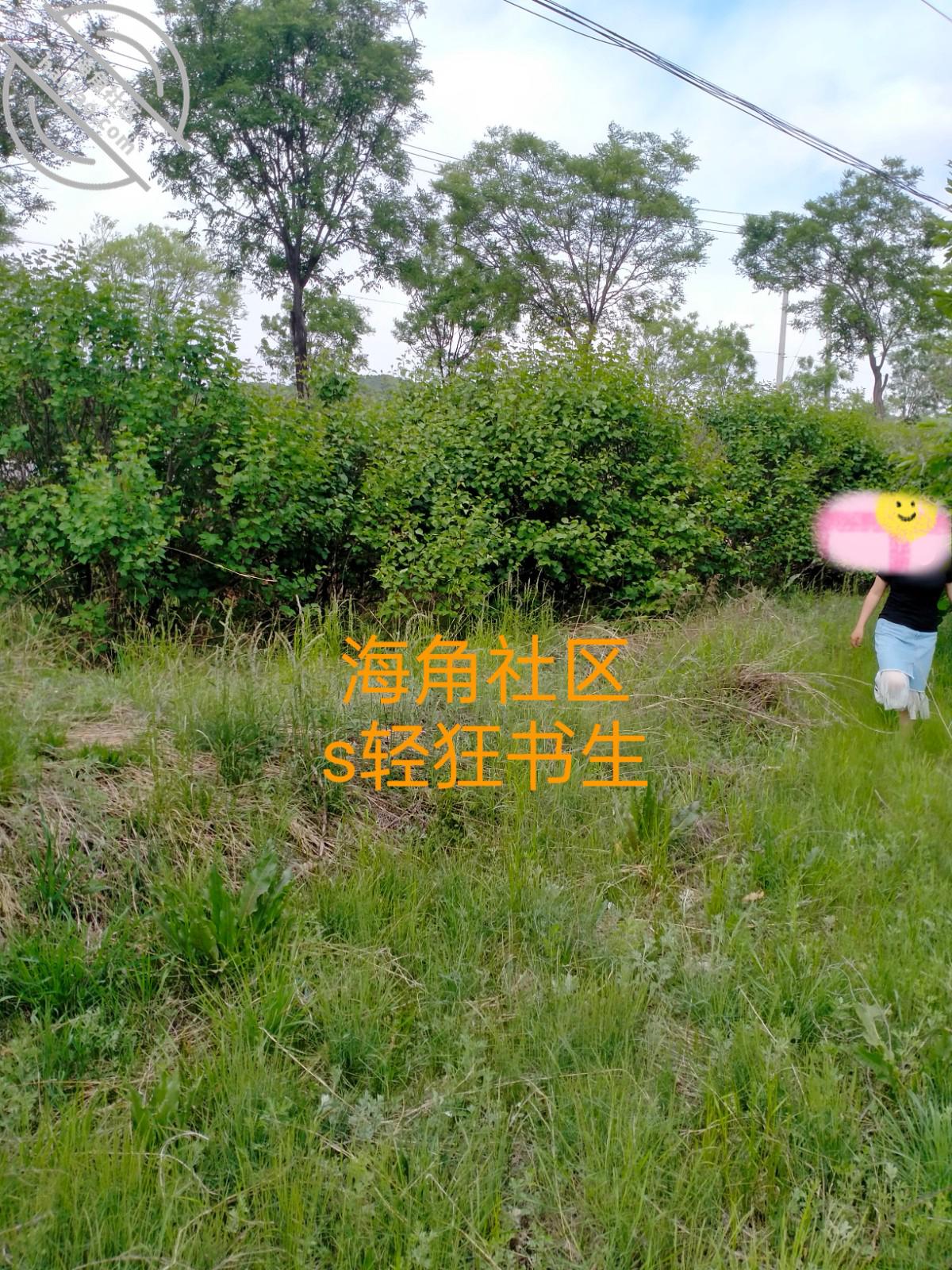 96c6af746cee67ac812495aaec6f6938.jpg